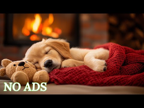 12 HOURS of Deep Sleep Music for Dogs 🐶 Anti Separation Anxiety Relief 🎵 Fall Asleep in 3 Minutes 💖