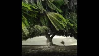 Starsailor - Talk Her Down