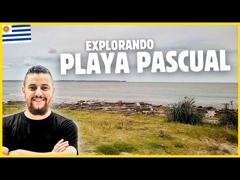 PASCUAL BEACH like you've NEVER seen it before | San José, Uruguay