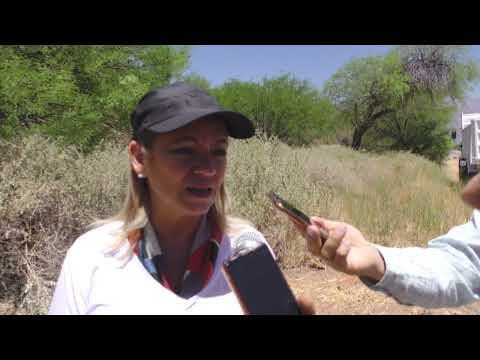 Con importante cantidad de recursos se combate el incendio forestal en Cafayate