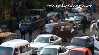 Cairo - Biking Through Traffic with a Tray of Arabic Bread on Head!