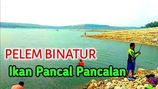 Download lagu Ikan terlalu mudah, Spot Andalan Pelem Binatur mp3