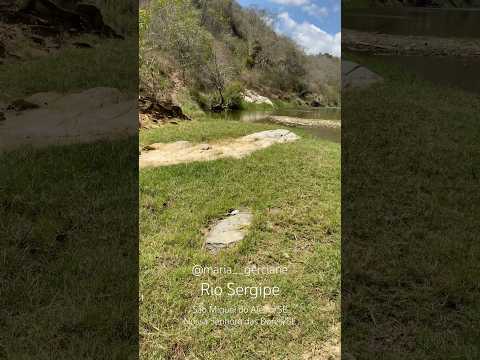 Riqueza no sertão de São Miguel do Aleixo/SE RIO SERGIPE #vidanaroça #vaquejada #vidasimples