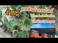 kerry express เช็คพัสดุ