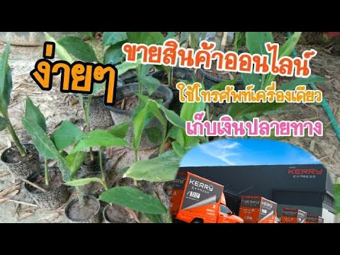 kerry express เช็คพัสดุ