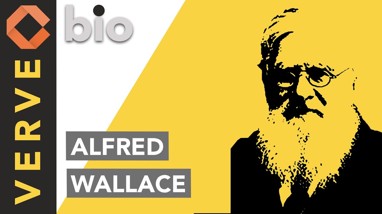 Alfred Russel Wallace, Pai da Bio-geografia e co-autor da Teoria da Evolução