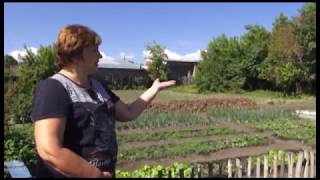 Трудовой отряд «Юный эколог»