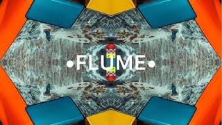 Flume -Friends