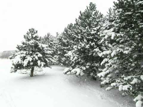 Snow in the Dutch dunes near Zandvoort