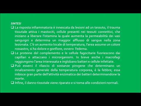 Dove lyambliya sono trovati Se sempre a vermi in Calais i vermi sono visibili