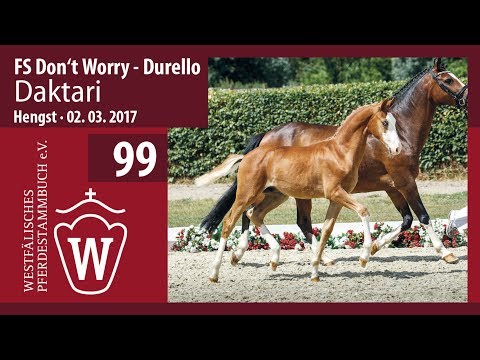 99 Daktari  Hengst v.  FS Don‘t Worry - Durello