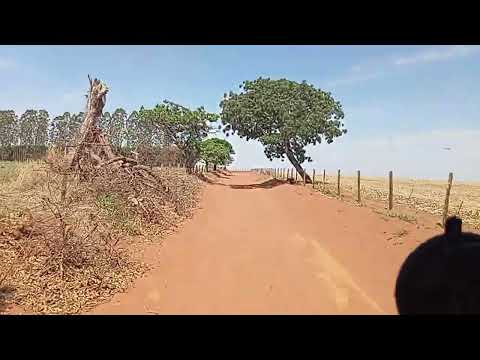 Panamá GO e o palco do carregamento bora carrega milho pra uberaba MG 