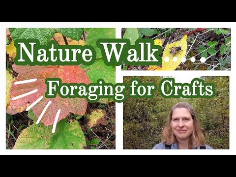 Nature Walk || Foraging for Crafts and DIYs