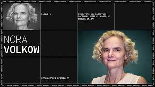 Drogas y dopamina: el vínculo revelado