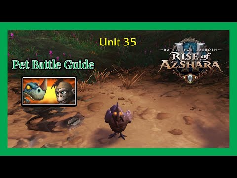 Unit 35 WoW Pet Battle Guide