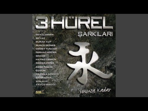 Ağlarsa Anam Ağlar