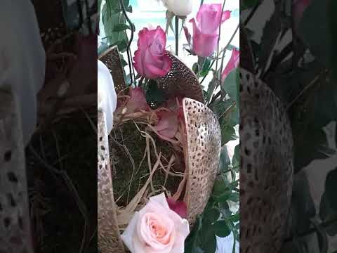 Hadiya flowers Stand...