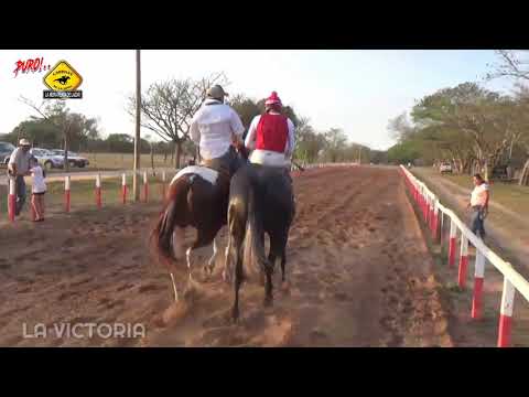 LA VICTORIA VS LA TEQUILA