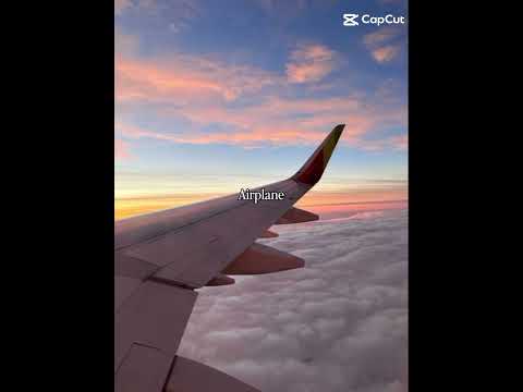 honestly they are beautiful!! #aksacat #cat