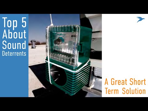 5 Things to Know About Sound Deterrents