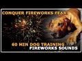 Fireworks Sounds For Dog Training DESENSITIZATION COUNTERCONDITIONING