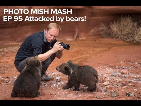 Photo Mish Mash EP 95 - Attacked by Bears