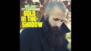 William Fitzsimmons - Blood and Bones