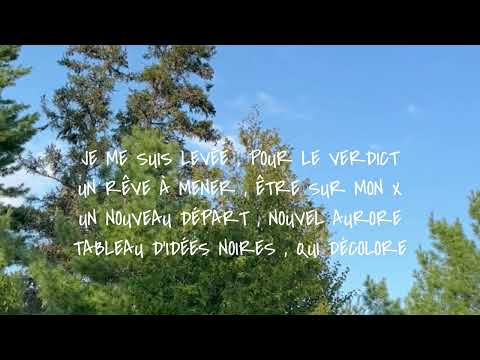 France D'Amour " Tout à gagner" Lyrics video