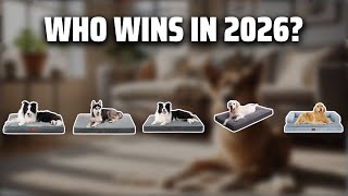 The Top 5 Best Waterproof Dog Bed in 2026 - Must Watch Befor