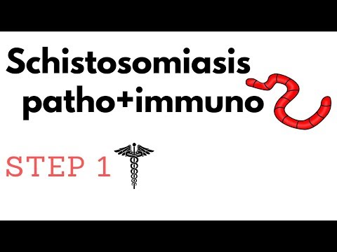 schistosomiasis hatásai