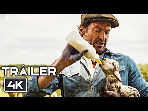 LAS OVEJAS DETECTIVES Tráiler Oficial Español (2026) Hugh Jackman