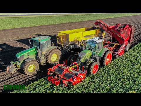 Beet Harvest, Netherlands | Stronga Tri-Axle Beet Trailer, John Deere, Fendt & Grimme