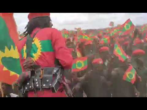 Eebbifamtootni Waraanni Bilisummaa Oromoo zooniin kibbaa dhuma irratti Bohaartiin goolabaniiru.