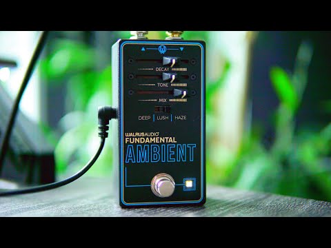 I Think I Found The Best Budget Reverb (Walrus Fundamental Ambient)