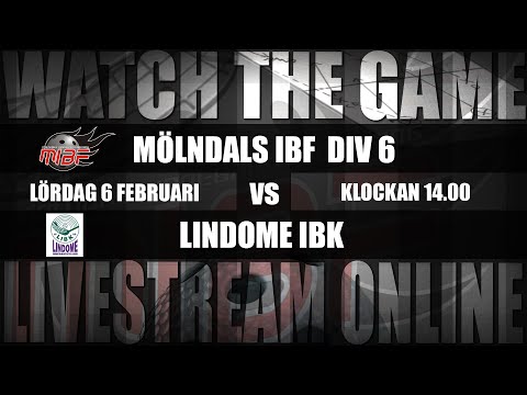 H6: Mölndals IBF H6 - Lindome IBK Div 6