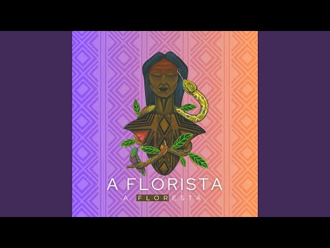 A Subida do Beija Flor