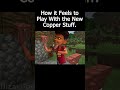 Chicken Stars Minecraft
