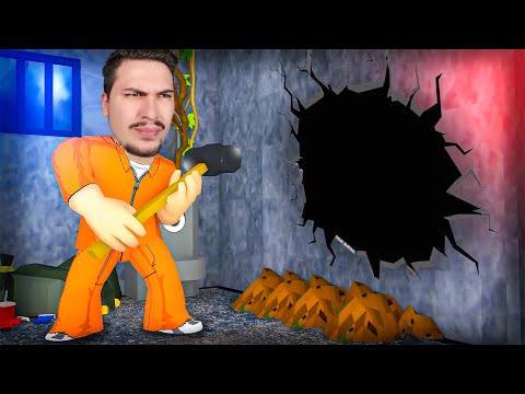 Nje STORY duke IKUR nga Burgu Ma i RREZIKSHEM!