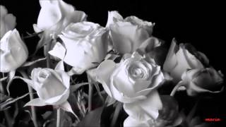 AGUA DE ROSAS ( NIÑA PASTORI, LILA DOWNS Y SOLEDAD )