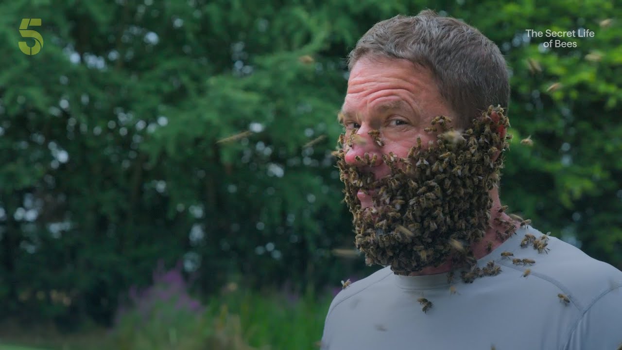 The Secret Life of Bees | Trailer | Channel 5