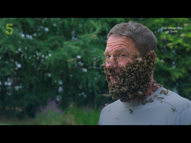 The Secret Life of Bees | Trailer | Channel 5