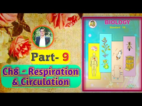 Chapter 8 Respiration and circulation Types Of Lymphocytes | Leucocytes WBC  Immune System 12th  hsc