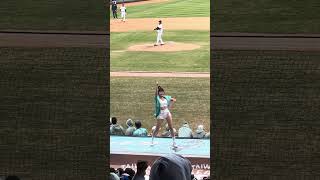 【Passion Sisters】#瑄 #陳子豪 #冬季聯盟@台中洲際棒球場 20241214 #台湾チア #cheerdance #cheerleader #passionsisters #啦啦隊