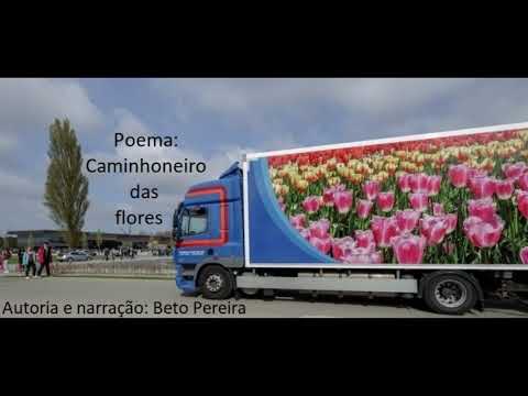 FLOWER TRUCKER - Beto Pereira