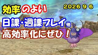 【ドラクエ10生配信No.334】効率のよい日課・週課など　2026.9.6