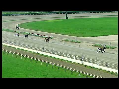 Napoli Trotto 12/11/2021 - 2ª prova di qualifica