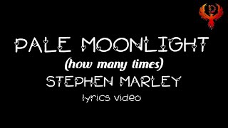 PALE MOONLIGHT- STEPHEN MARLEY | LYRICS VIDEO