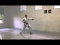 Oi Zuki Chudan, Zenkutsu Dachi | IKD Testing Syllabus videos | Shotokan Karate 2013