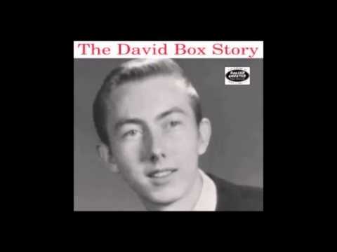 David Box -  Little Lonely Summer Girl