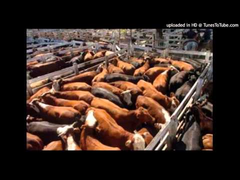 Today's Tango Is... La Tablada - Aníbal Troilo 23-07-1942